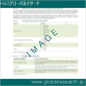 グローバルリサーチ調査レポートのイメージ